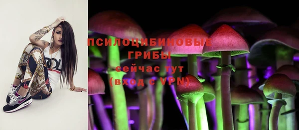 скорость Алексин