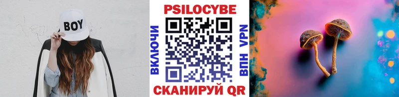 Псилоцибиновые грибы мицелий  Ижевск 